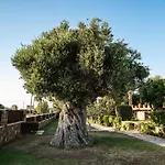 Belvedere Willa Agios Andreas (Elis)