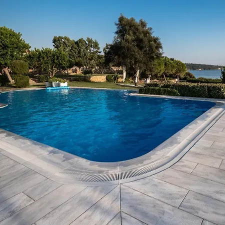 فيلة Belvedere