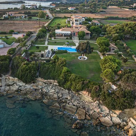فيلة Belvedere *