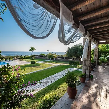 Belvedere فيلة *