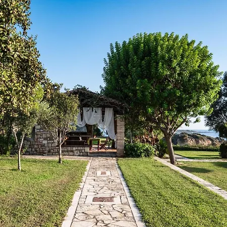 Belvedere فيلة