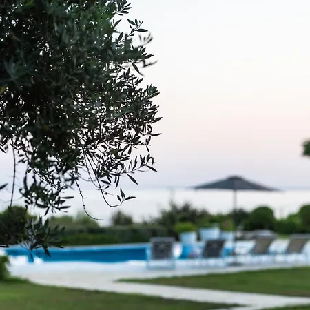فيلة Belvedere
