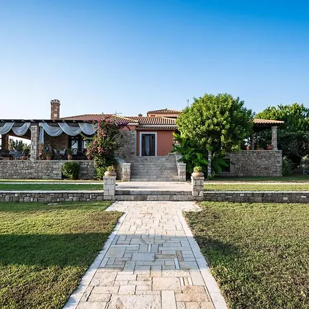 Belvedere فيلة