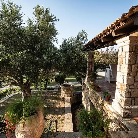 فيلة Belvedere