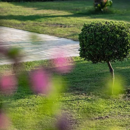 Willa Belvedere Agios Andreas (Elis)