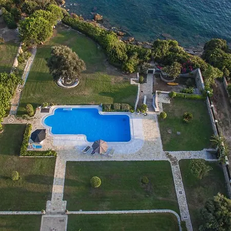 فيلة Belvedere *