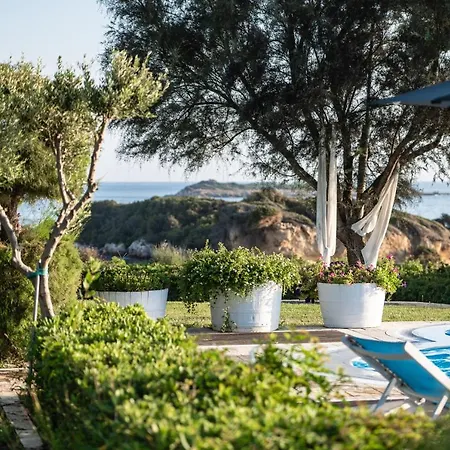 Belvedere فيلة *