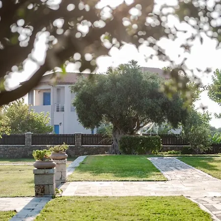 فيلة Belvedere