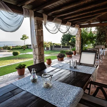 فيلة Belvedere