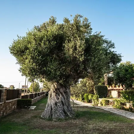 Belvedere וילה Agios Andreas (Elis)