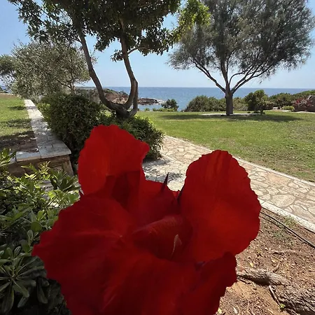 Belvedere וילה Agios Andreas (Elis)