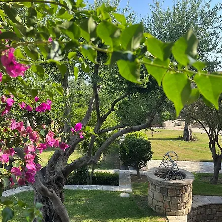 Belvedere - The Perfect In Katakolo * Agios Andreas (Elis)