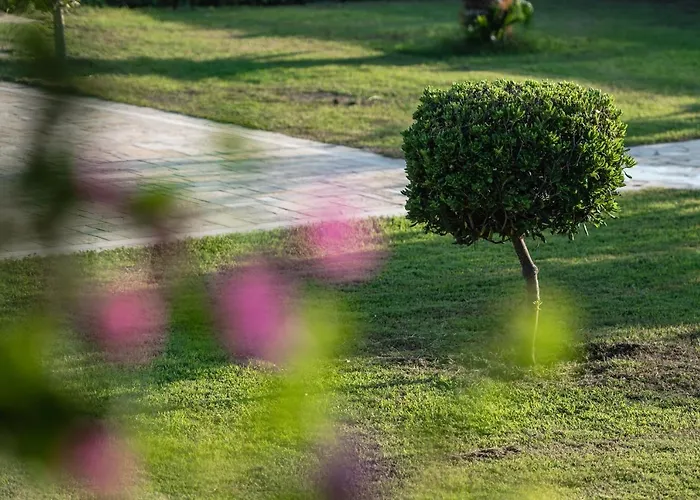 Villa Belvedere Agios Andreas (Elis)