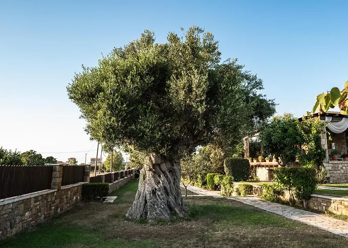 Belvedere 别墅 Agios Andreas (Elis)