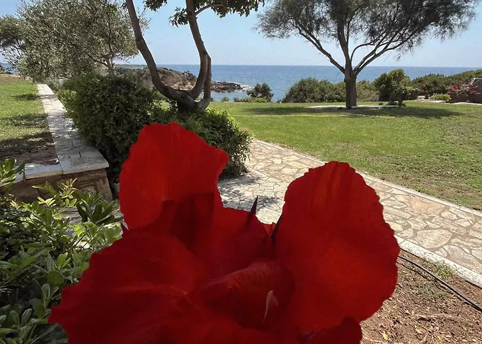 Belvedere 别墅 Agios Andreas (Elis)